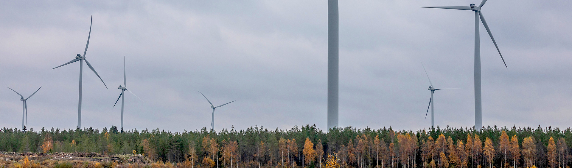 Pyhäjoen tuulivoimapuisto ja hieno ruska