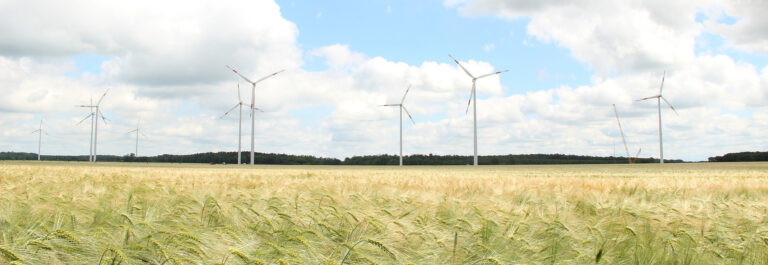 Picture from the field. Wind mills, road with the cars on the background. Forest on the back.